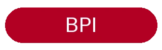 BPI Express Online